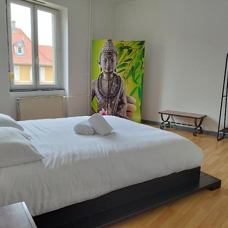 Le Thannois - Appartement 2 Chambres, Salon, Cuisine Equipee, Parking Et Wifi Gratuit Mulhouse Luaran gambar