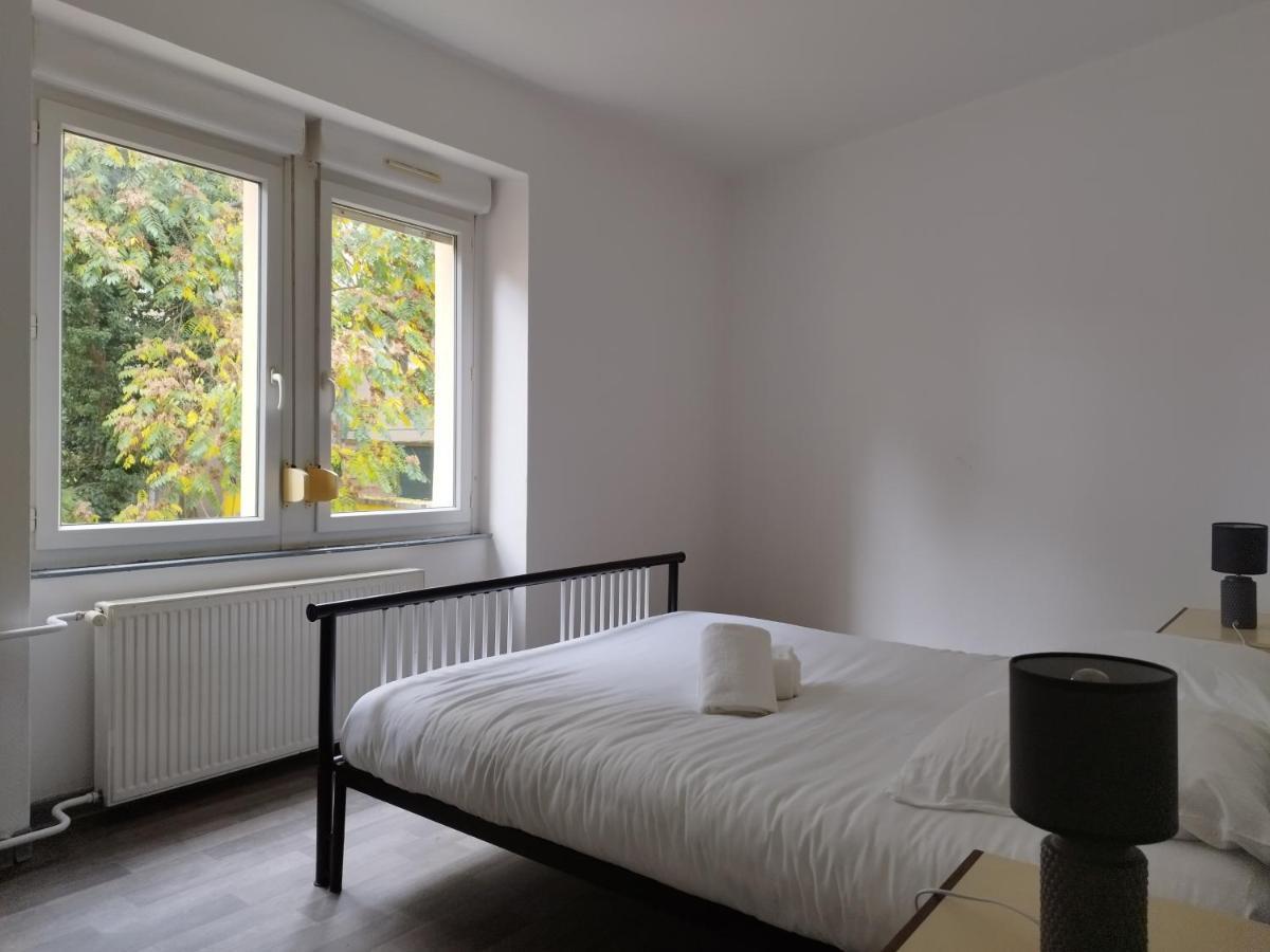 Le Thannois - Appartement 2 Chambres, Salon, Cuisine Equipee, Parking Et Wifi Gratuit Mulhouse Luaran gambar