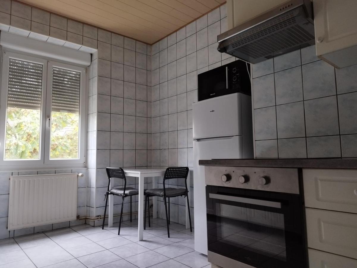 Le Thannois - Appartement 2 Chambres, Salon, Cuisine Equipee, Parking Et Wifi Gratuit Mulhouse Luaran gambar